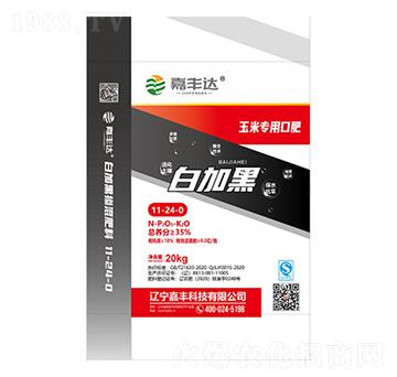 ���׌��ÿڷ�11-24