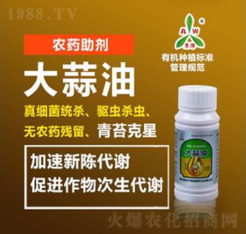 �������r(n��ng)ˎ����-�W�S