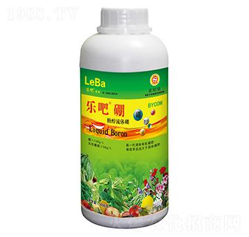 1000g�����Ǵ����w