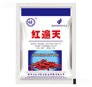 �t����-�|�M(m��n)��-����ԥ��