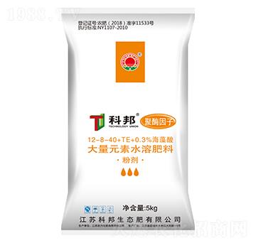 ����;�ø���Ӵ���Ԫ��