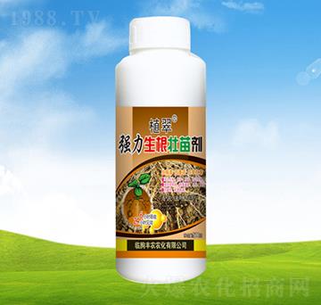 ��(qi��ng)���������焩��ƿ��-