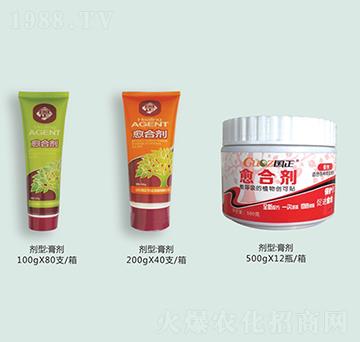 ֲ�����τ�-��(gu��)��-����