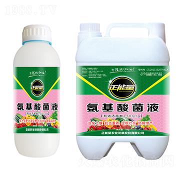 �������Һ-������