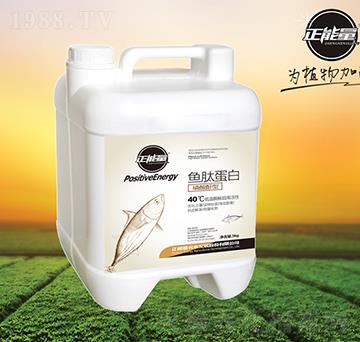 �~(y��)�ĵ���-������-������