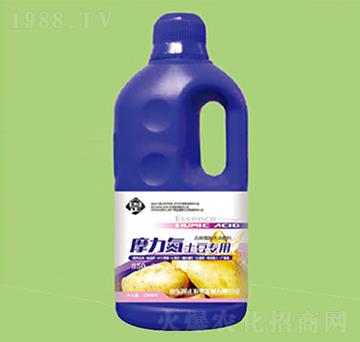 Ħ����������(zhu��n)��׷��-������