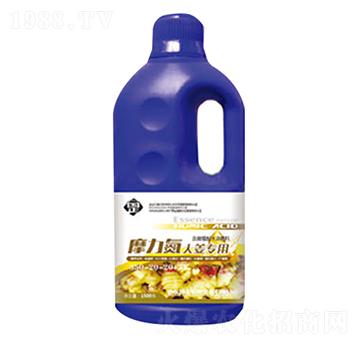 Ħ�����󽪌�(zhu��n)��׷��-������