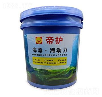 ���塤������-���o-�d�rˎ�I(y��)