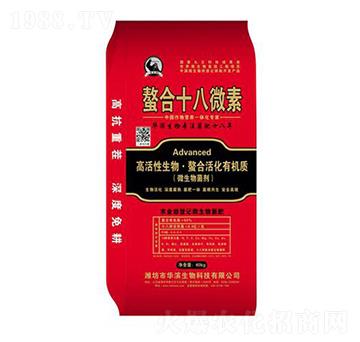 ����ʮ��΢�أ��t��-�A