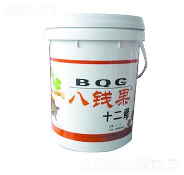 ���X��ʮ����-�A�I����