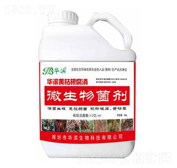 �A�I�S�ݸ�����-�A�I����