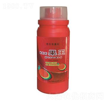 �׿�������-�A�I����