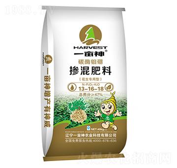 47%������(zhu��n)���͓����