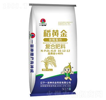 ̼ø���Ϗ�(f��)�Ϸ���16-