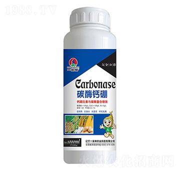 ̼ø�}��-һ����