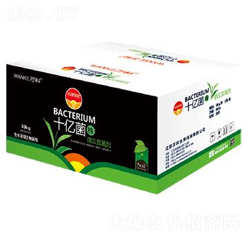 ���bʮ�|���꣨10�|��