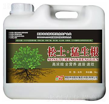 ����������-�»�