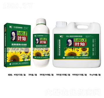 ��������������L(zh��ng)ЧҺ��-�~�N-�»�