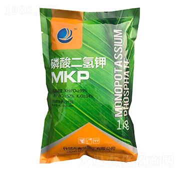 1kg��������-���{����