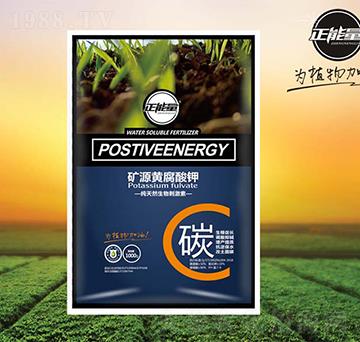 �VԴ�S�����-������