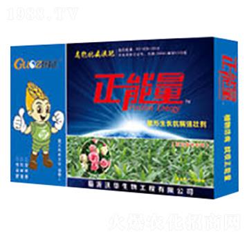 ������ľ��(zhu��n)���������L(zh��ng)��