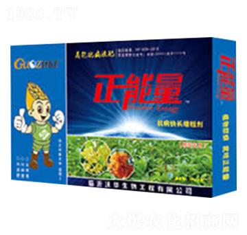 �𻨌�(zhu��n)�ÿ������L(zh��ng)���ք�