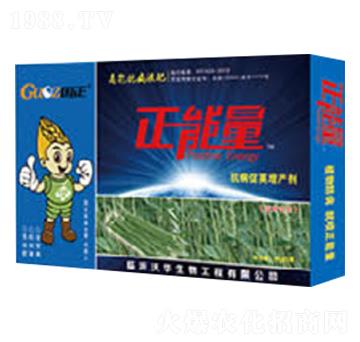 ���ǌ�(zhu��n)�ÿ������v���a(ch��n)��