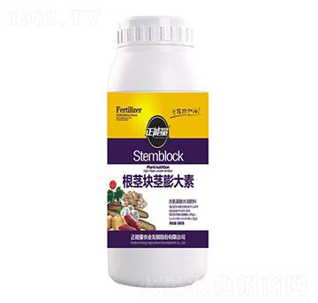 ���o�K�o�����-������