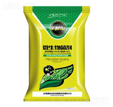 5�|���΢�������-��