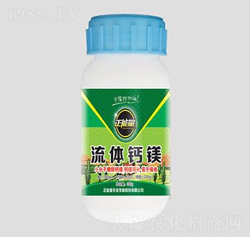 ���w�}�V-������