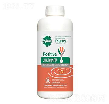 1300g�����-����