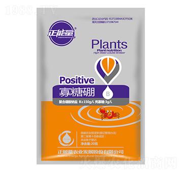 20g������-������