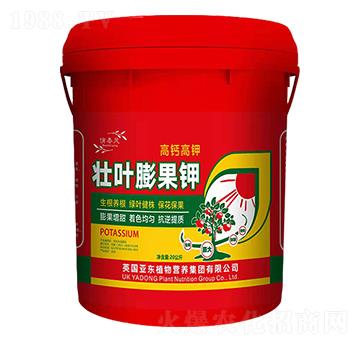 ���~����-���|����