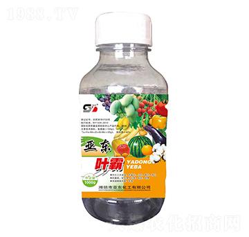 ���|�~��-�p�|-���|����