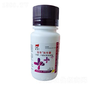 ��ù���~ù��ЙC����-��ţ����ţ��-�\��I(l��ng)��