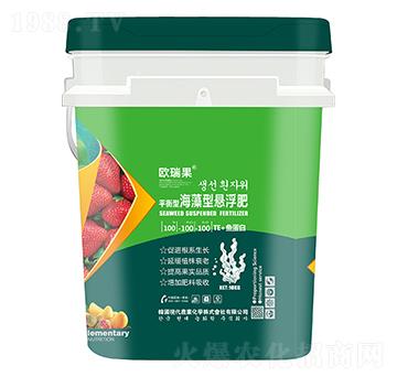 ƽ���ͺ����͑Ҹ���100-100-100+TE+�~����-�W���-ʥ�ɶ�