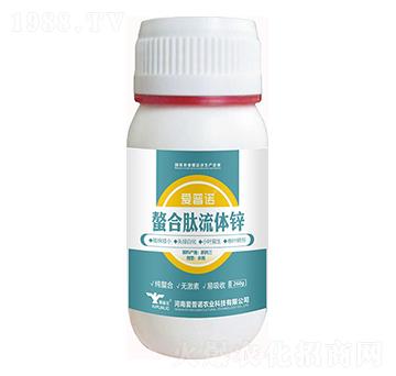 ���������w�\-��(��i)���Z