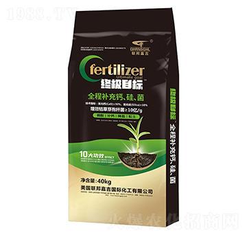 ȫ���a(b��)���}��������40kg-(li��n)��μ�