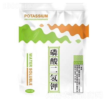 ��������-�Ȏ�