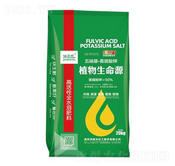 ���������S�����-����