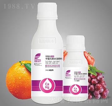 �p�����}�V-Ӣ¶�����S