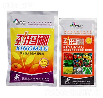 �ߝ�ȏͺ��̓�(y��u)�|(zh��)���-