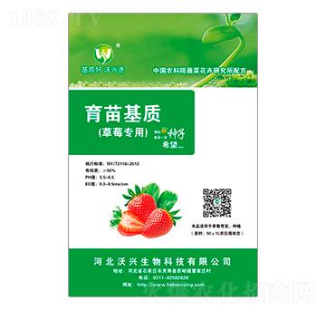 ��ݮ����������|-���d����