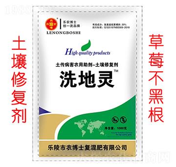 �����ޏ̈́�����ݮ��-ϴ