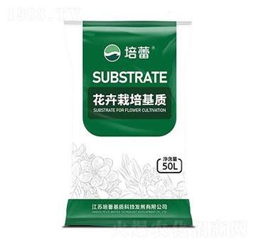 ������ľ������|-����