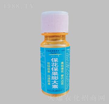 �������������-�����