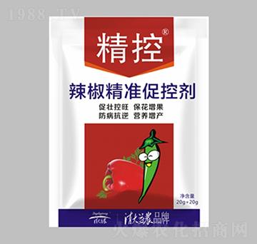 ��������(zh��n)�ٿ؄�-����-