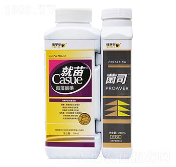 ����+��˾-���ڠ�