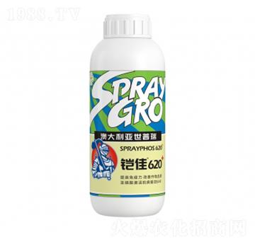 �z��620-��ţ�r(n��ng)�I(y��)