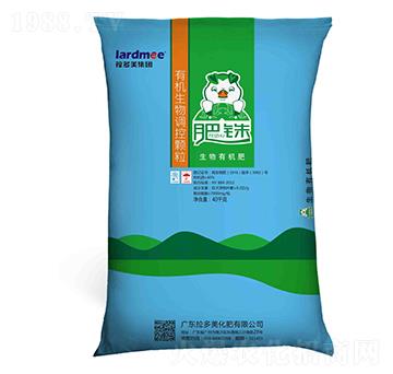 �����ЙC(j��)��-���-������